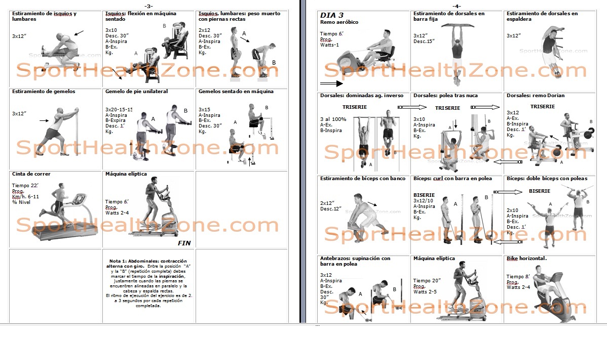 Plan de entrenamiento para ganar masa muscular pdf